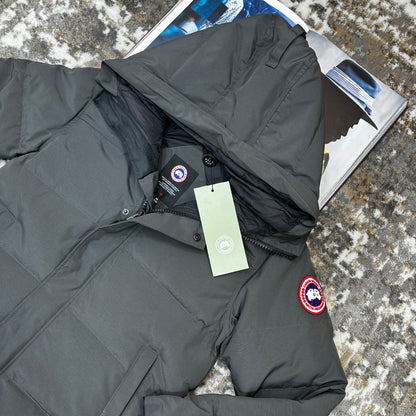 CG MACMILLAN  - DARK GRAY